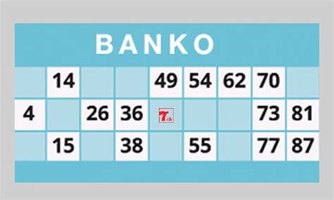 bingo termer|Bingo eller banko .